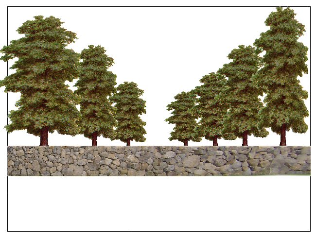 perspective tree sizes resized